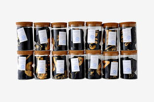 深圳平面設(shè)計協(xié)會在標(biāo)本衍生品絲巾領(lǐng)域的工業(yè)設(shè)計服務(wù)創(chuàng)新